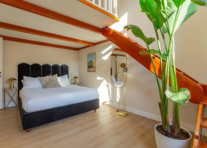Apartment Daplace - Romina